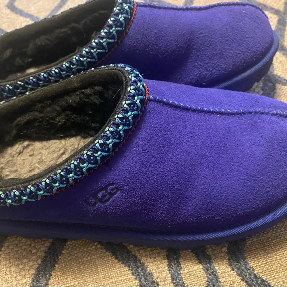 Tasman slides